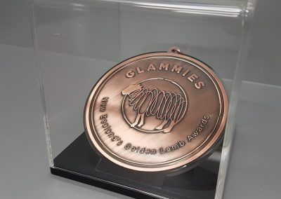 Clear Acrylic Display case for medal