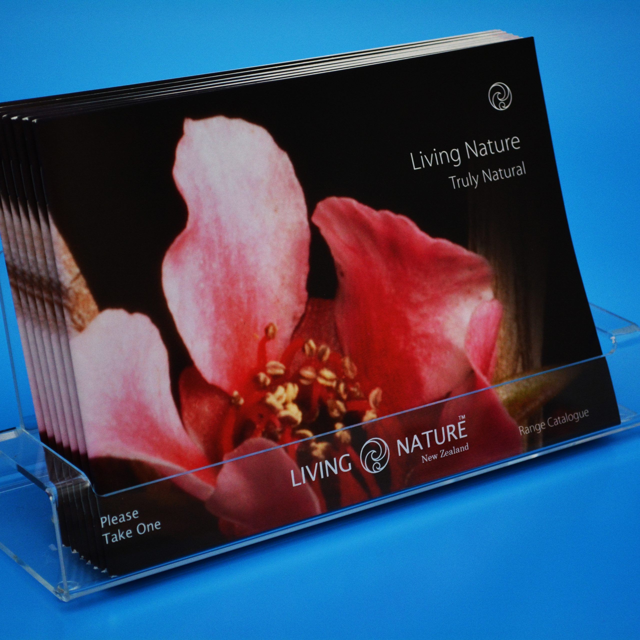 Custom acrylic brochure holder, displaying a customer's pamphlets with branding engraved on the front
