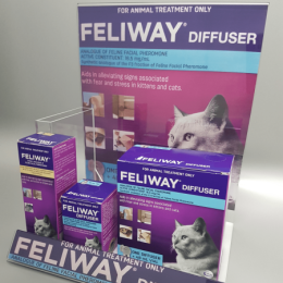 Custom acrylic display stand for promoting products